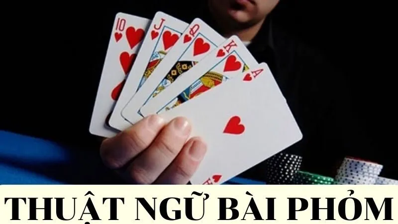 Hướng Dẫn Cách Chơi Bài Phỏm Tại NOHU Chi Tiết Nhất Những thuật ngữ xuất hiện trong game bài Phỏm